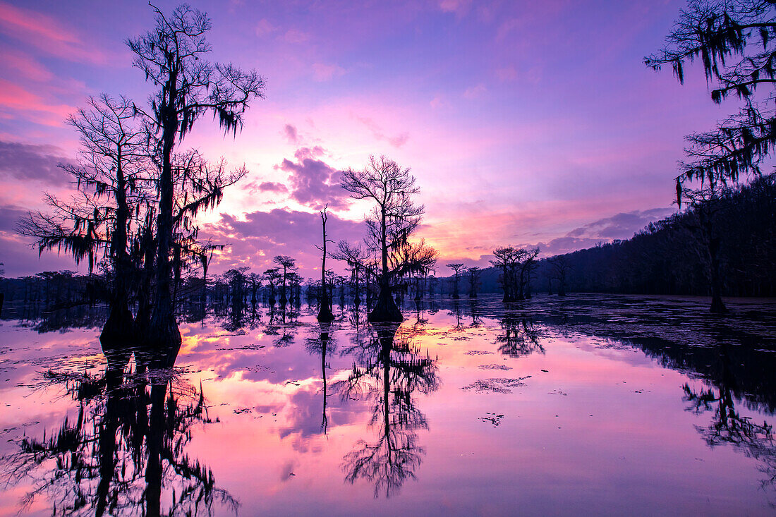 Caddo Lake bei Sonnenaufgang