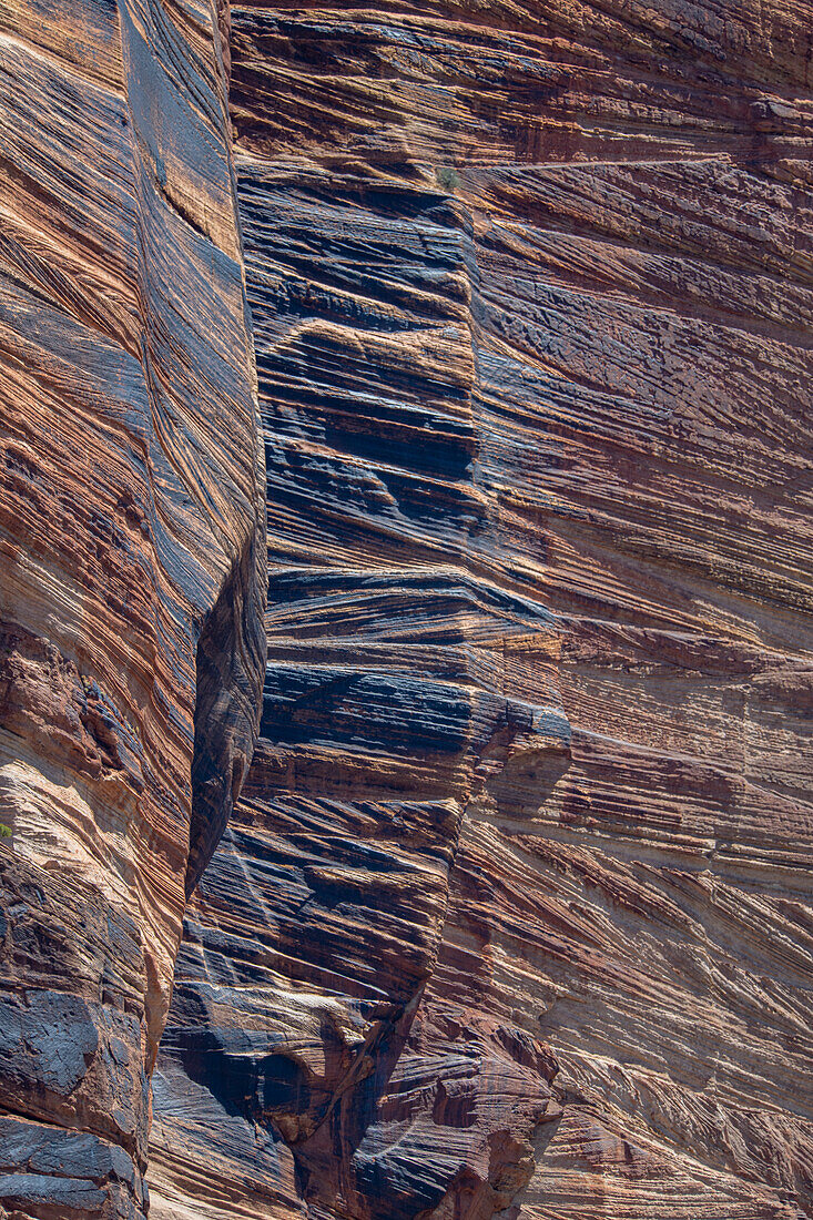 Layers of sedimentary rock edge the main highway that bisects Zion National Park.