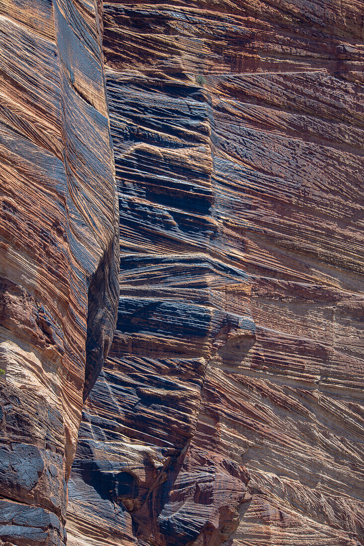 Schichten von Sedimentgestein säumen die Hauptstraße, die den Zion National Park halbiert.