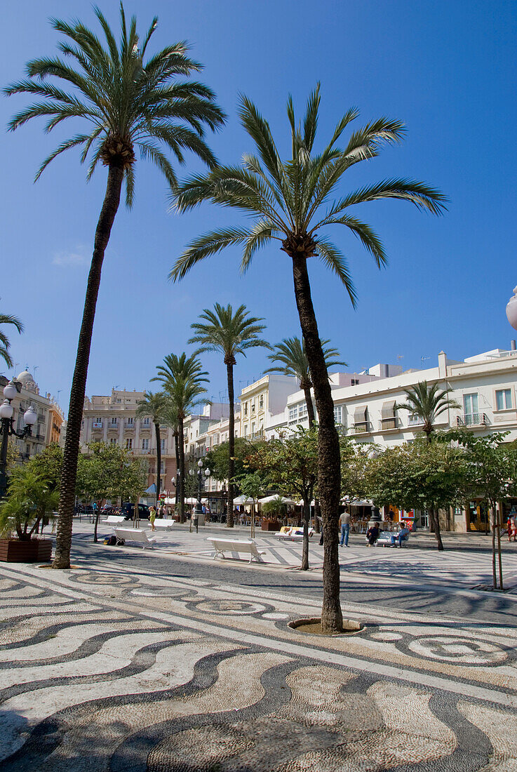 Town Square With Palm Trees