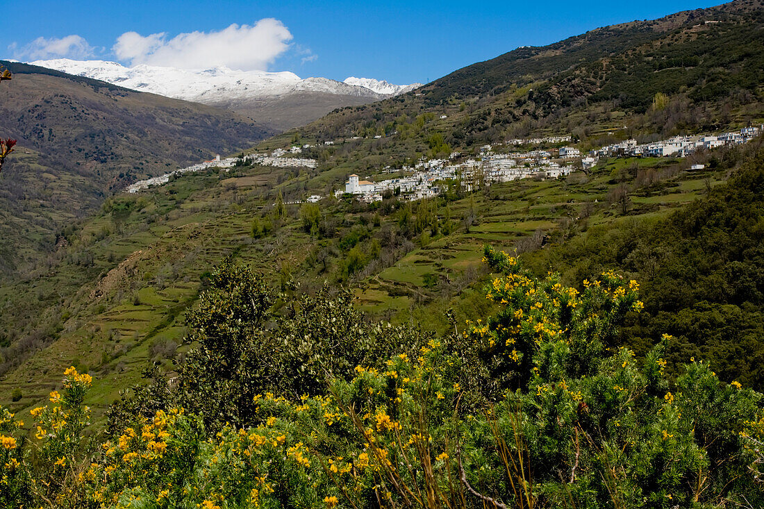 Capileira Landschaft