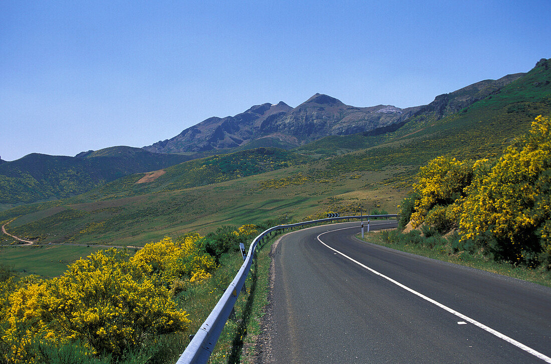 Road Through Mountains. Picos De Europa