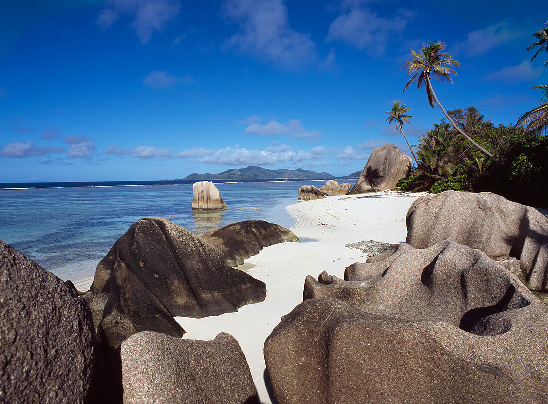 Tropical Beach