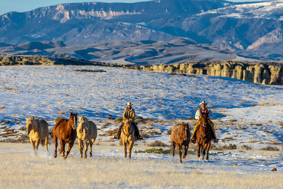 USA, Wyoming. Hideout Horse Ranch, Zureiter und Pferde. (MR,PR)