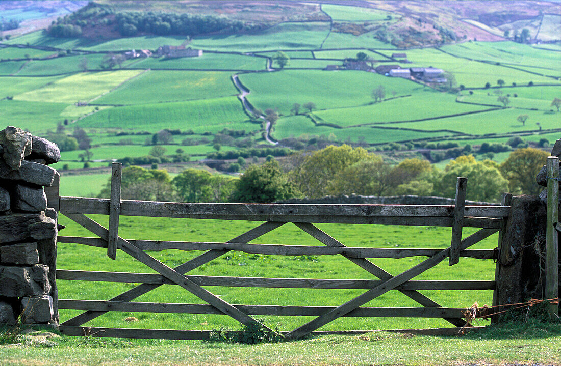 Countryside, North York Moors National Park