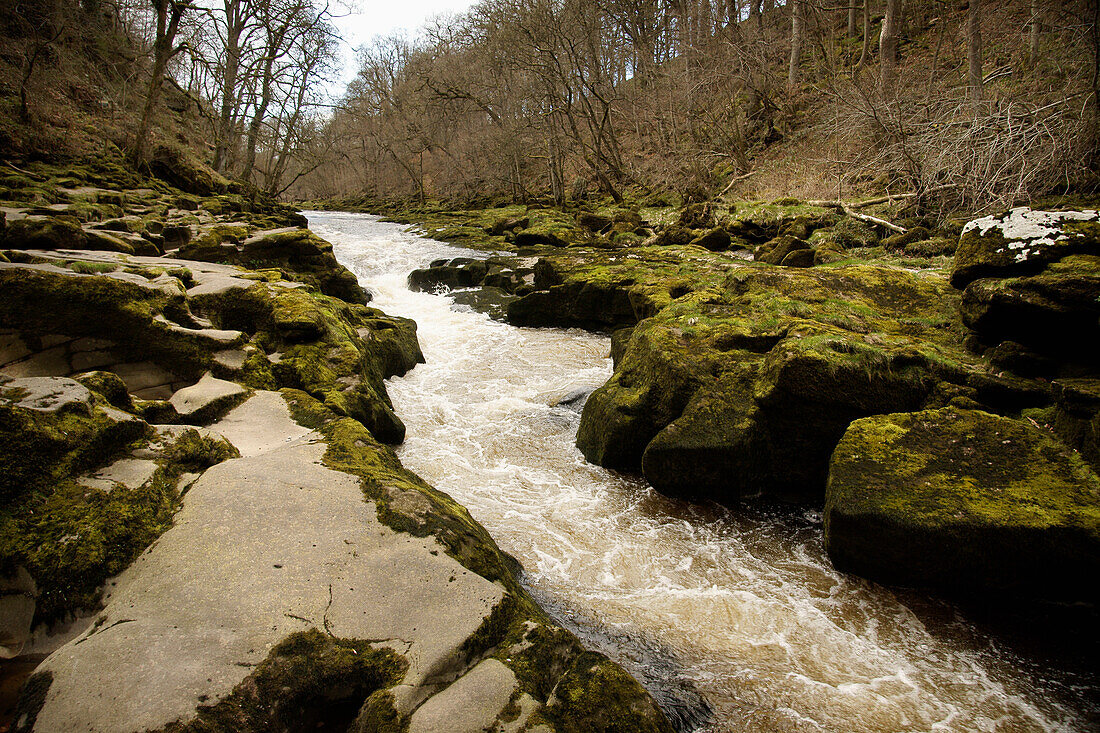 Der flache Teil des Flusses Wharfe bei Bolton Abbey