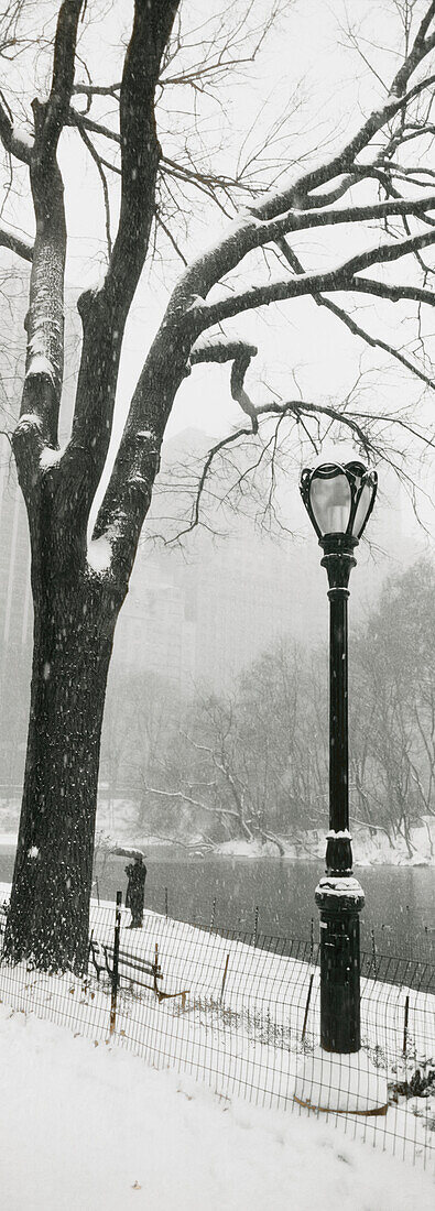 Park im Winter