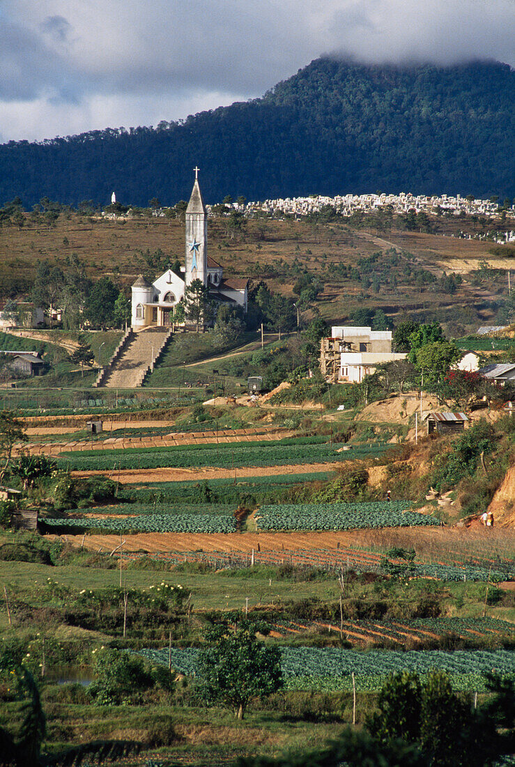 Scenic Mountain View