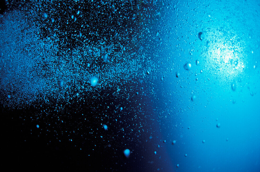 A Cloud Of Small Bubbles Head Towards The Surface; Rikoriko Cave, Poor Knights Islands, New Zealand