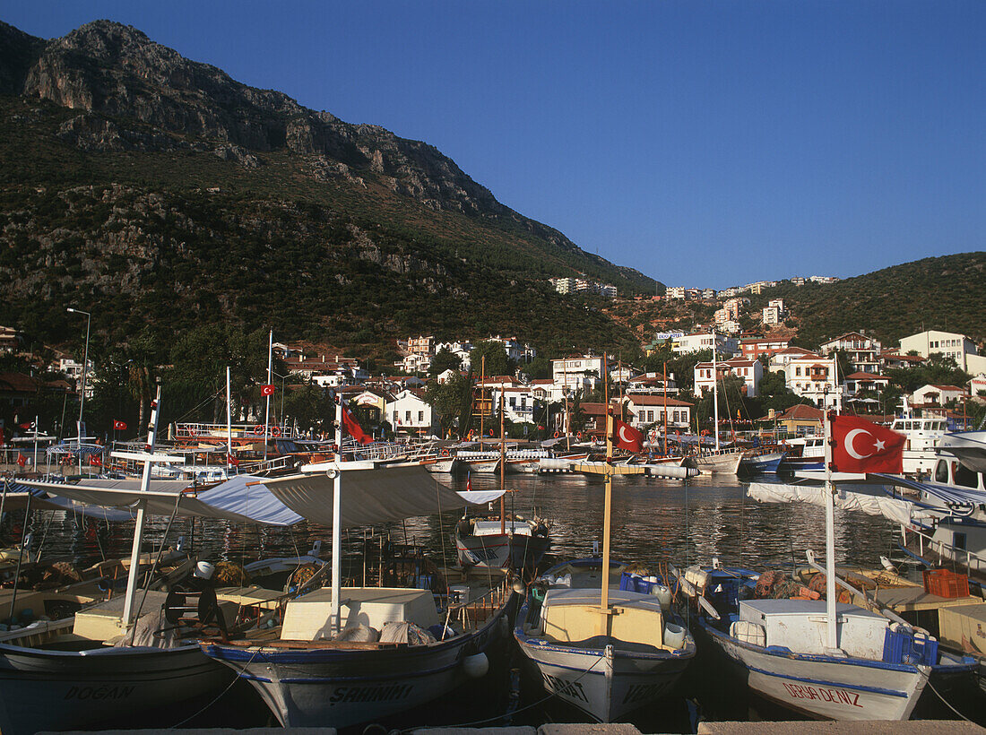 Boats In The Harbour