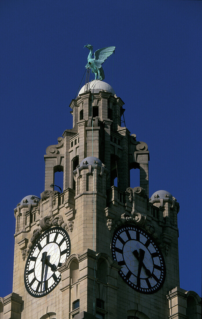 Royal Liver Building mit Uhr an der Mersey Waterfront