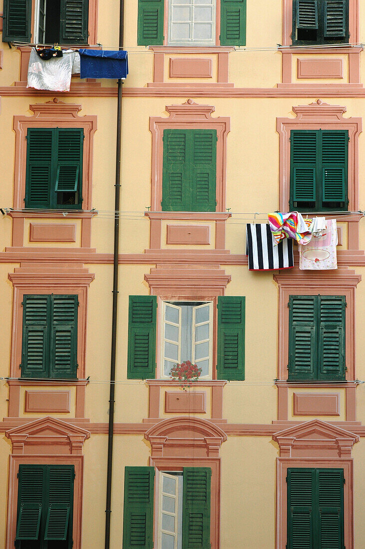 Gebäude mit grünen Fensterläden in Camogli; Ligurien, Italien
