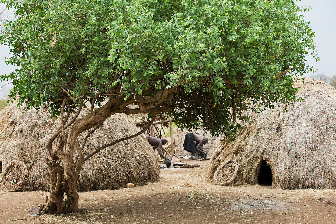 Äthiopien, Süd-Omo, Mursiland, Traditionelles Dorf des Mursi-Stammes; Dorf Sholbi
