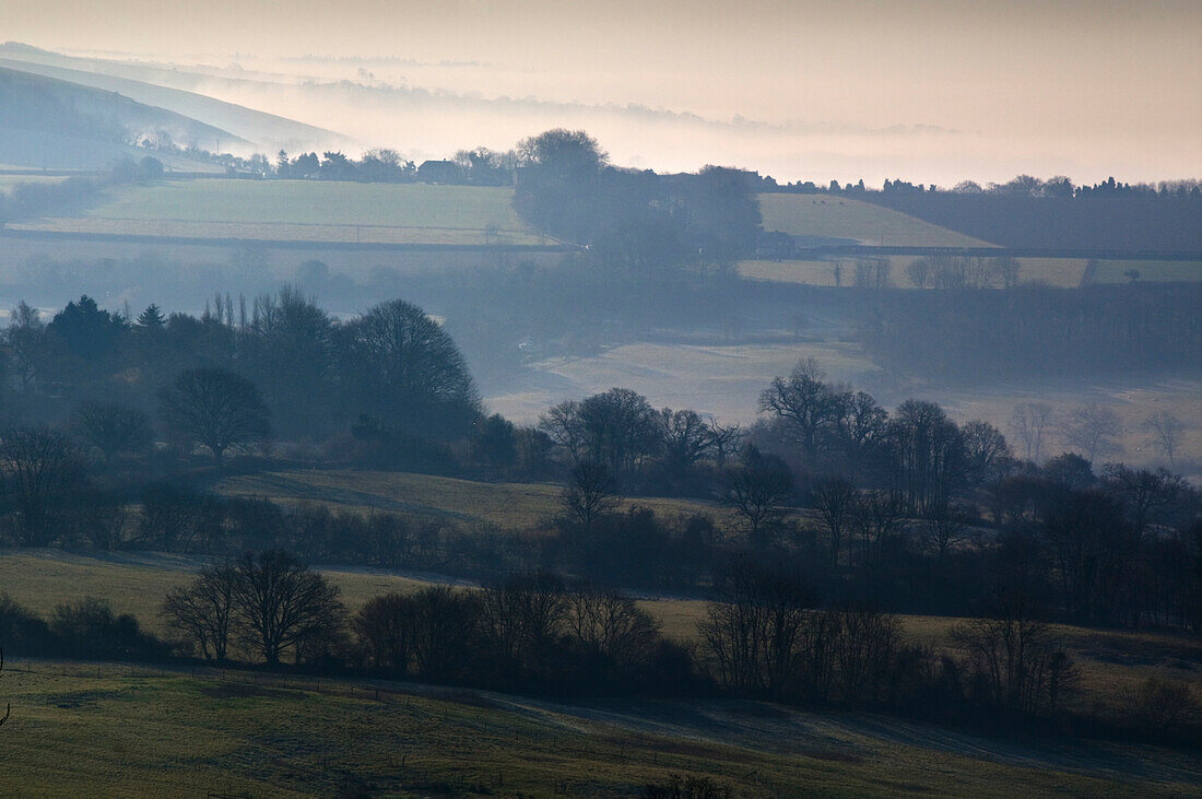 Landscape Misty Morning, Wiltshire, Uk