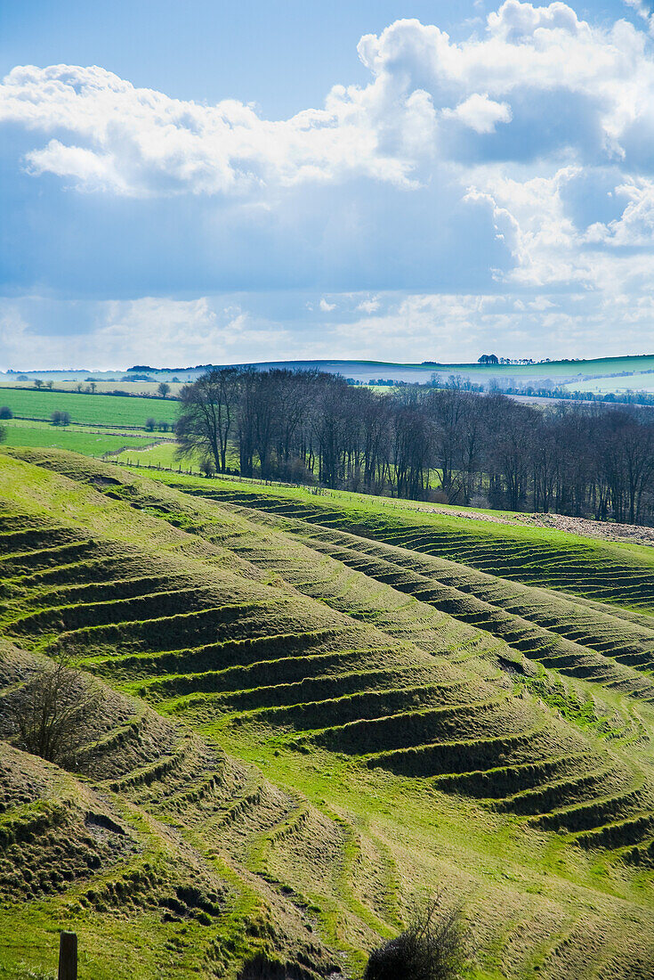 In den Hang gehauene Terrassen; Vale Of The White Horse, Oxfordshire, Uk