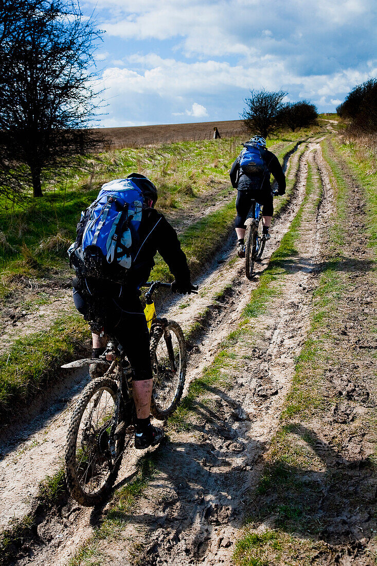 Mountain Bikers On The Ridgeway. Ancient Trackway Described As Britain's Oldest Road, In Use Since Neolithic Times. Now A Restricted Byway. Vale Of The White Horse, Oxfordshire, Uk