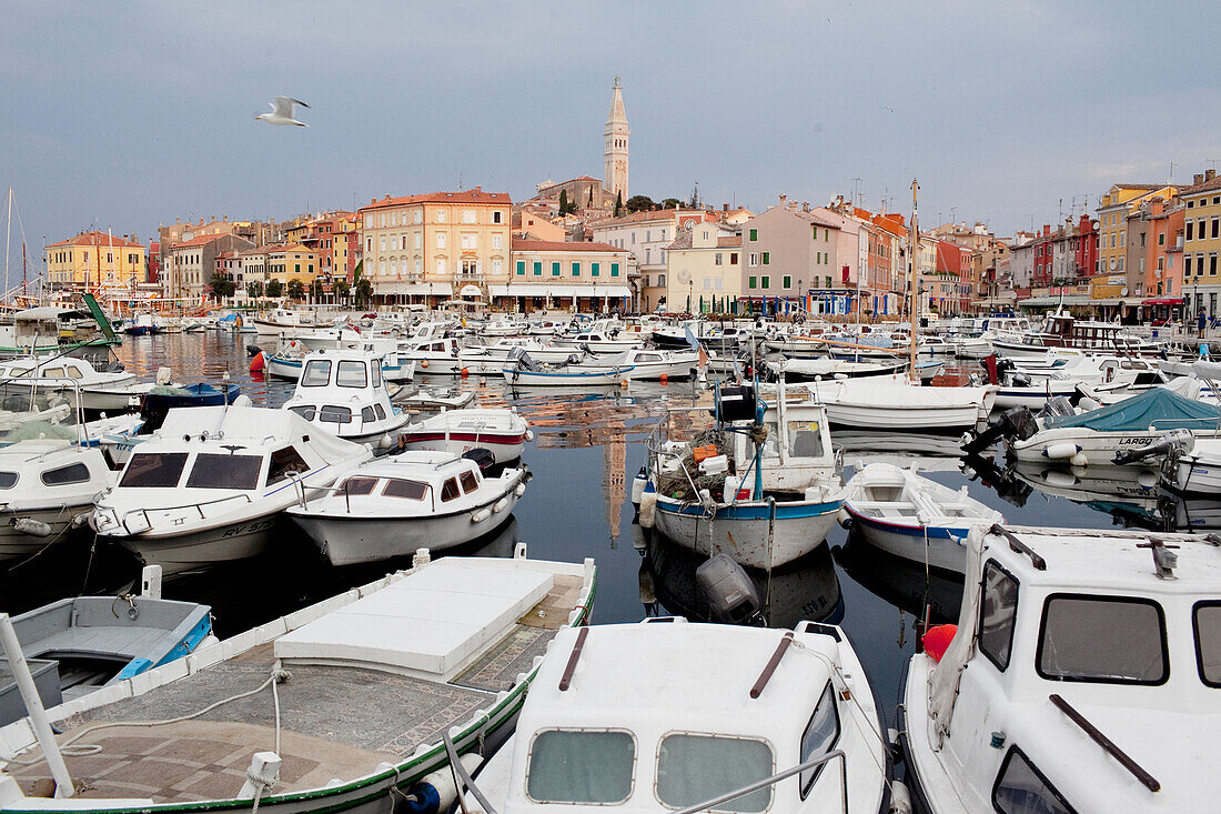 Frühes Morgenlicht über dem Hafen und der Altstadt von Rovinj, Istrien, Kroatien.