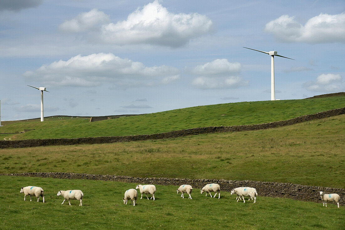 In der Nähe von Skipton, West Yorkshire, England, Vereinigtes Königreich.