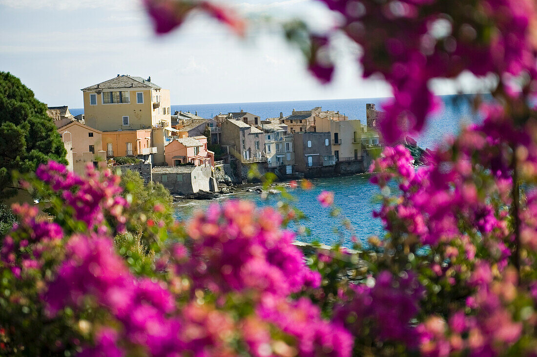 Der kleine Hafen von Erbalunga an der Ostküste von Cap Corse. Korsika. Frankreich
