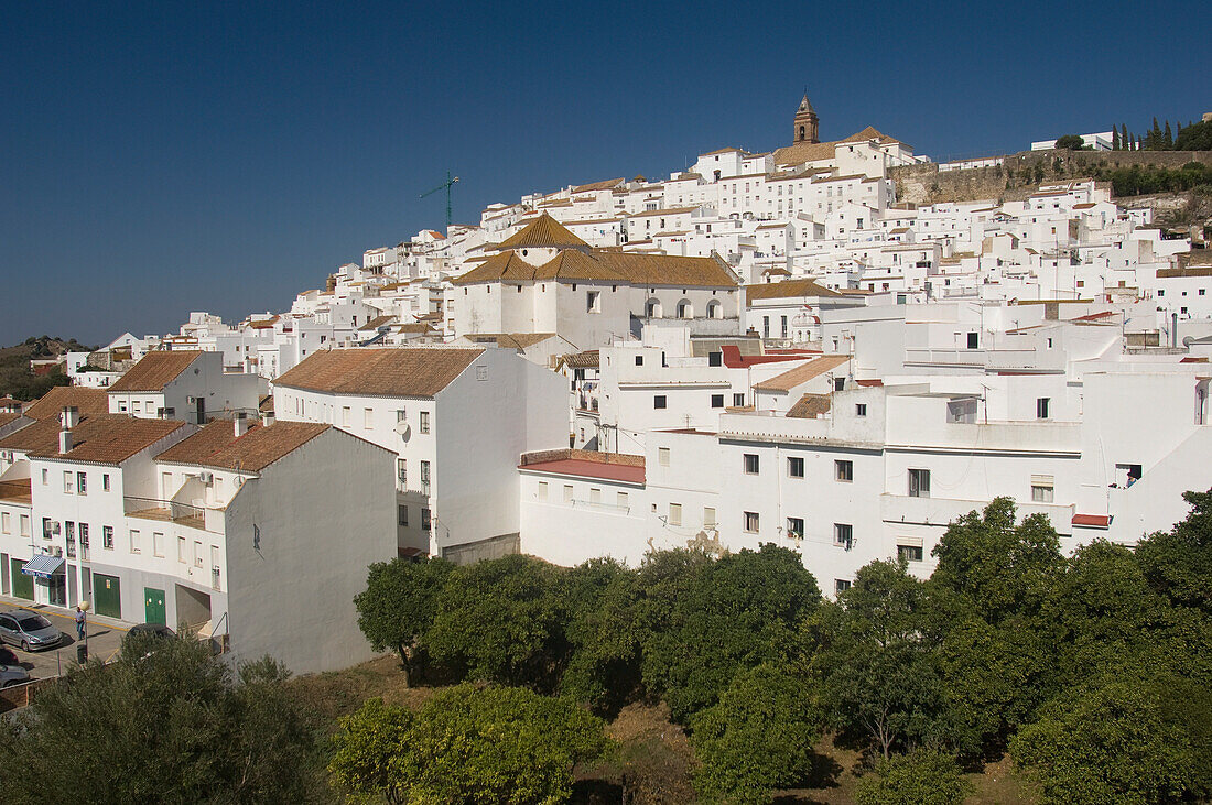 Weiße Stadt von Alcala De Los Gazules; Andalusien, Spanien