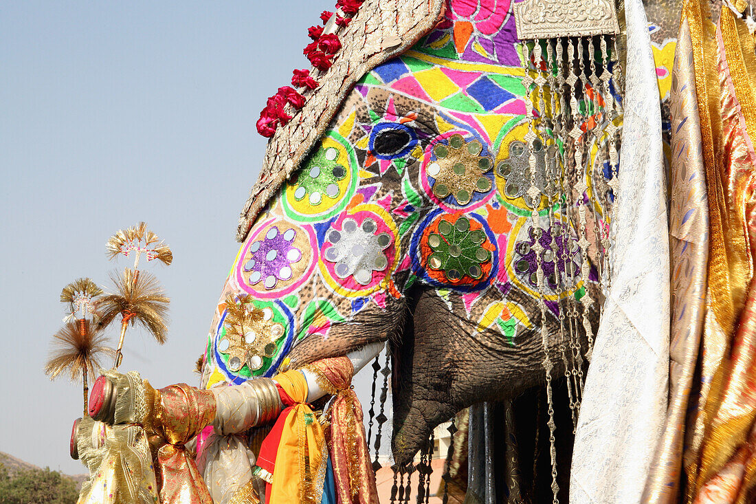 Beim Elefantenfest in Jaipur, der Hauptstadt von Rajasthan, Indien. Jährlich stattfindende Veranstaltung im Chaughan-Stadion innerhalb der alten Stadtmauern von Jaipur. Die bei Touristen beliebte Veranstaltung findet einen Tag vor dem indischen Holi-Fest statt, bei dem traditionell die