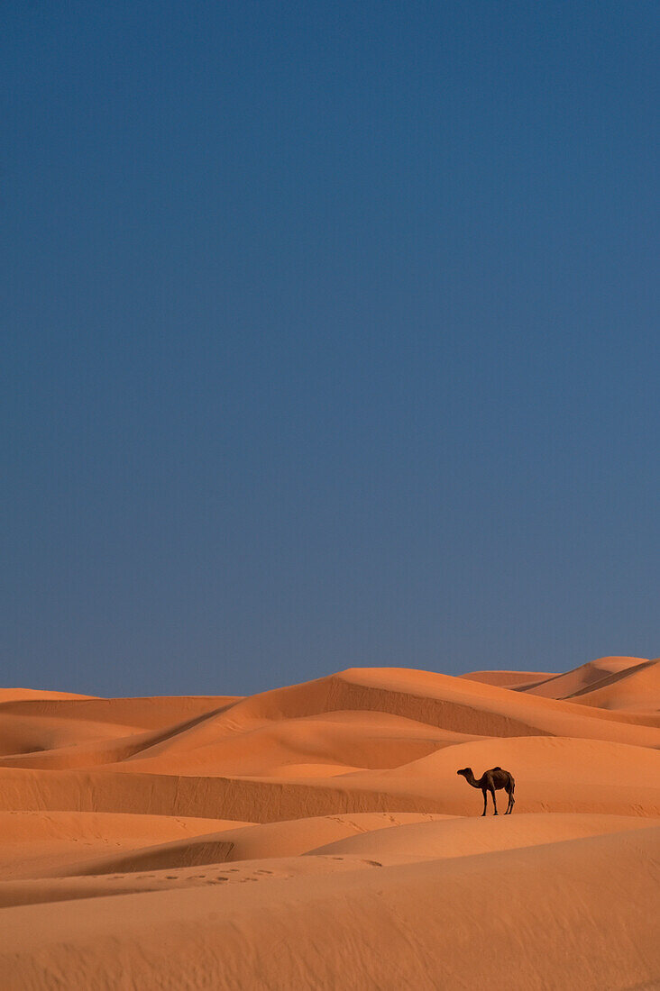 Merzouga, Morocco.