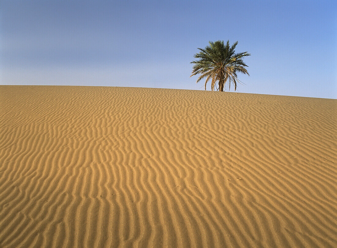 Erg Chebbi, Merzouga, Morocco