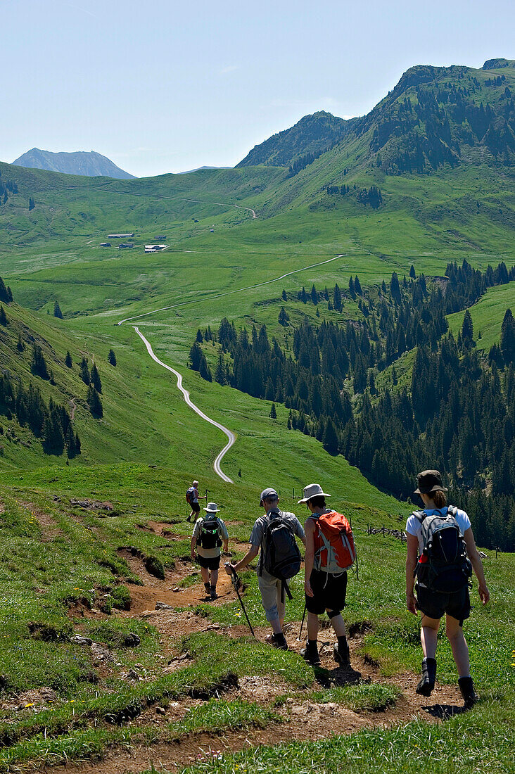 Eine Gruppe von Wanderern wandert in der Region Kitzbühel in Richtung Bichlalm. KitzbÅ¸hel-Alpen. Tirol, Österreich.