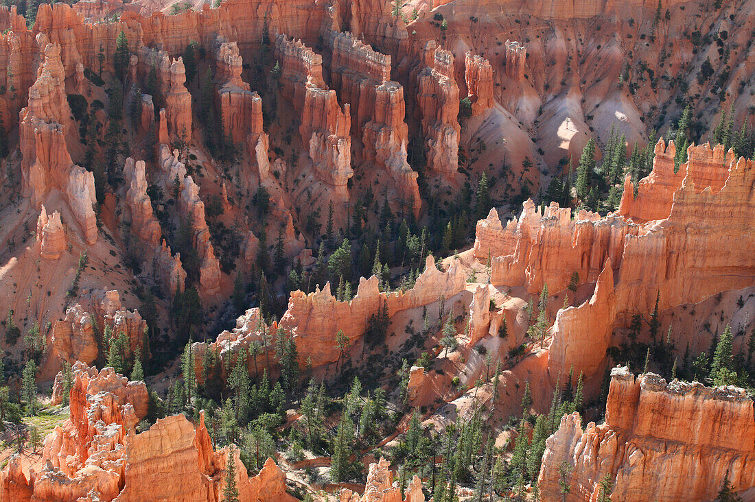 Bryce Canyon, Utah, Usa