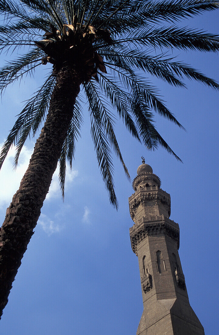 Low Angle View Of Minaret Of Sultan Hassan Mosque And A Palm Tree With Bright Blue Sky Behind, Cairo, Egypt; Cairo, Egypt