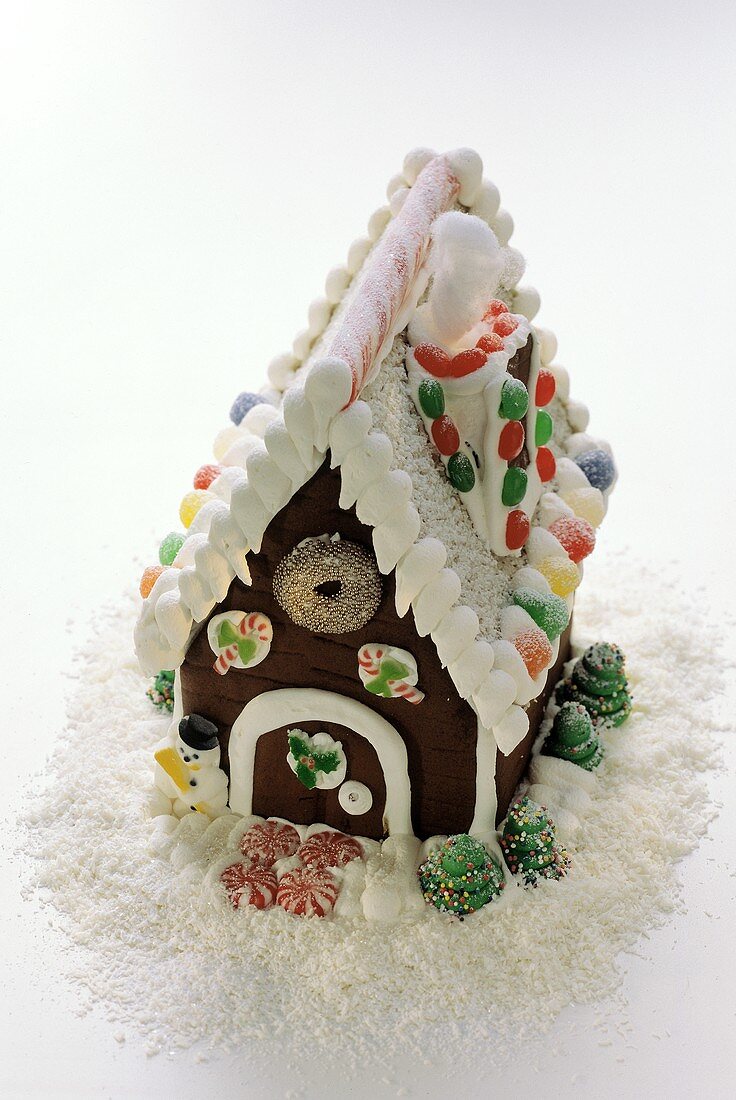 Gingerbread House with Snow