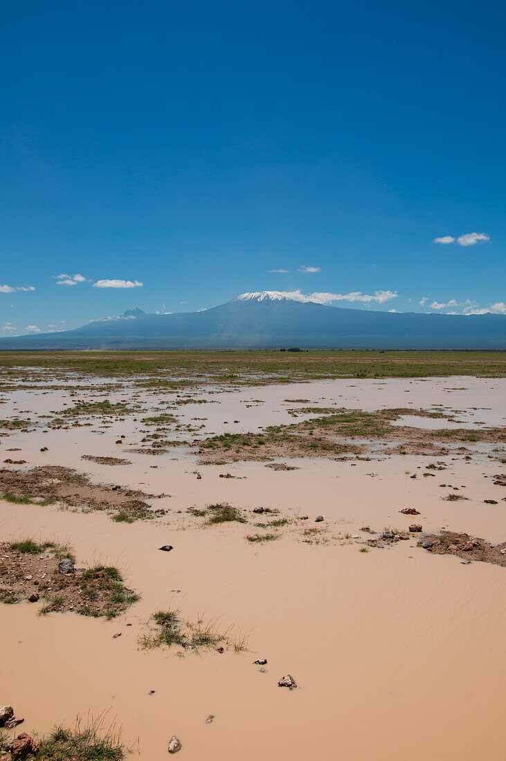 Überschwemmte Landschaft, Mt Kilimanjaro, Amboseli, Kenia