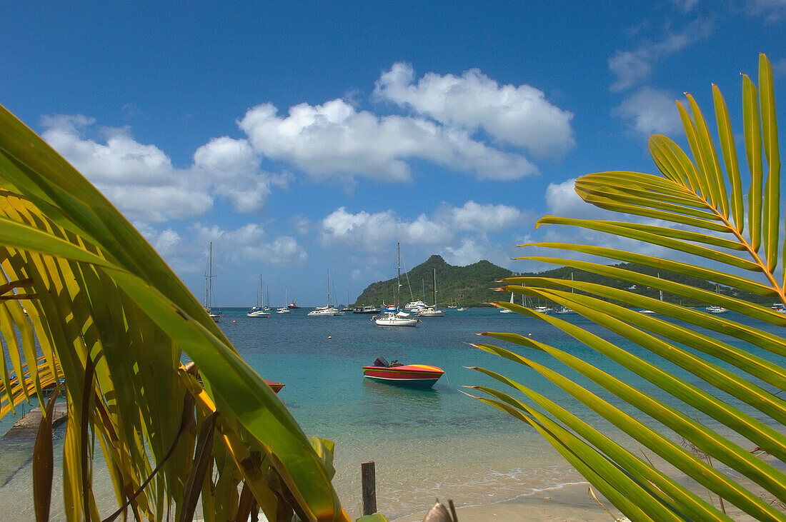 View Of Tyrell Bay Through Palm Frawns. A Boat Sits In The Water; Grenada, Caribbean