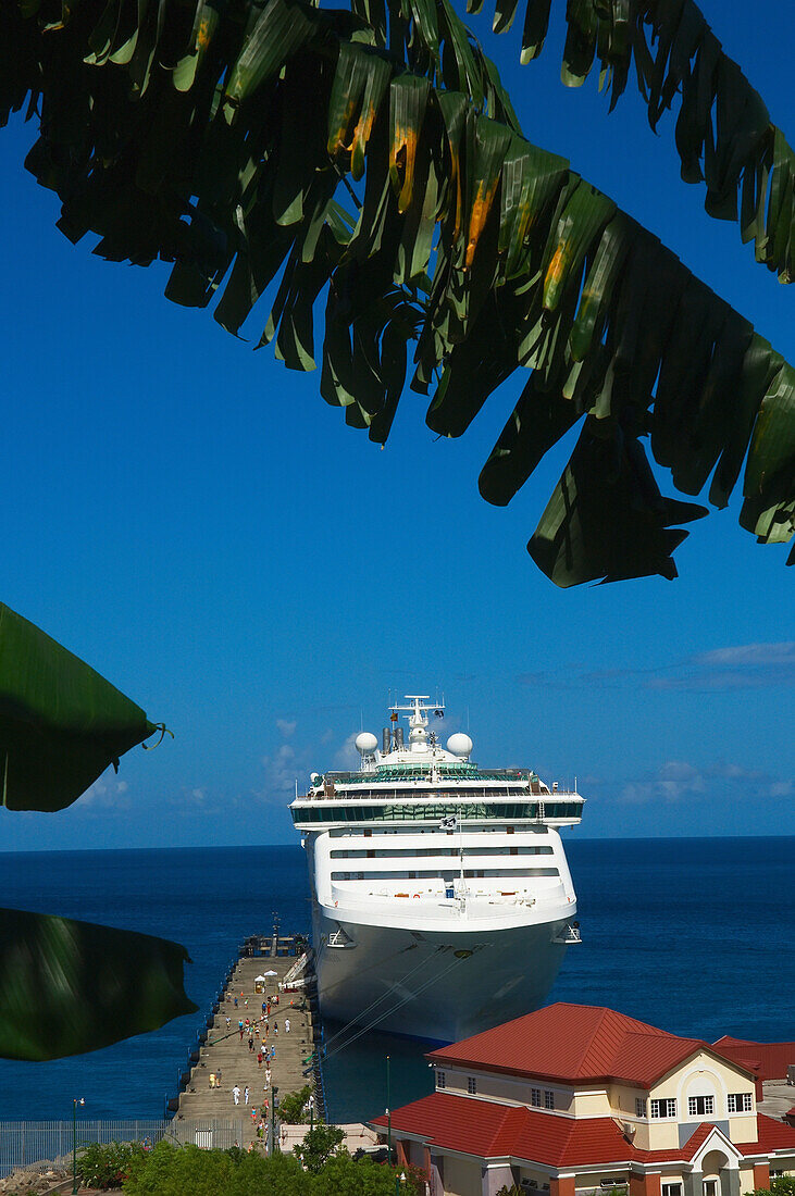 Blick von oben auf das Kreuzfahrtschiff-Terminal durch die Palmen, St George's; Grenada. Karibik.