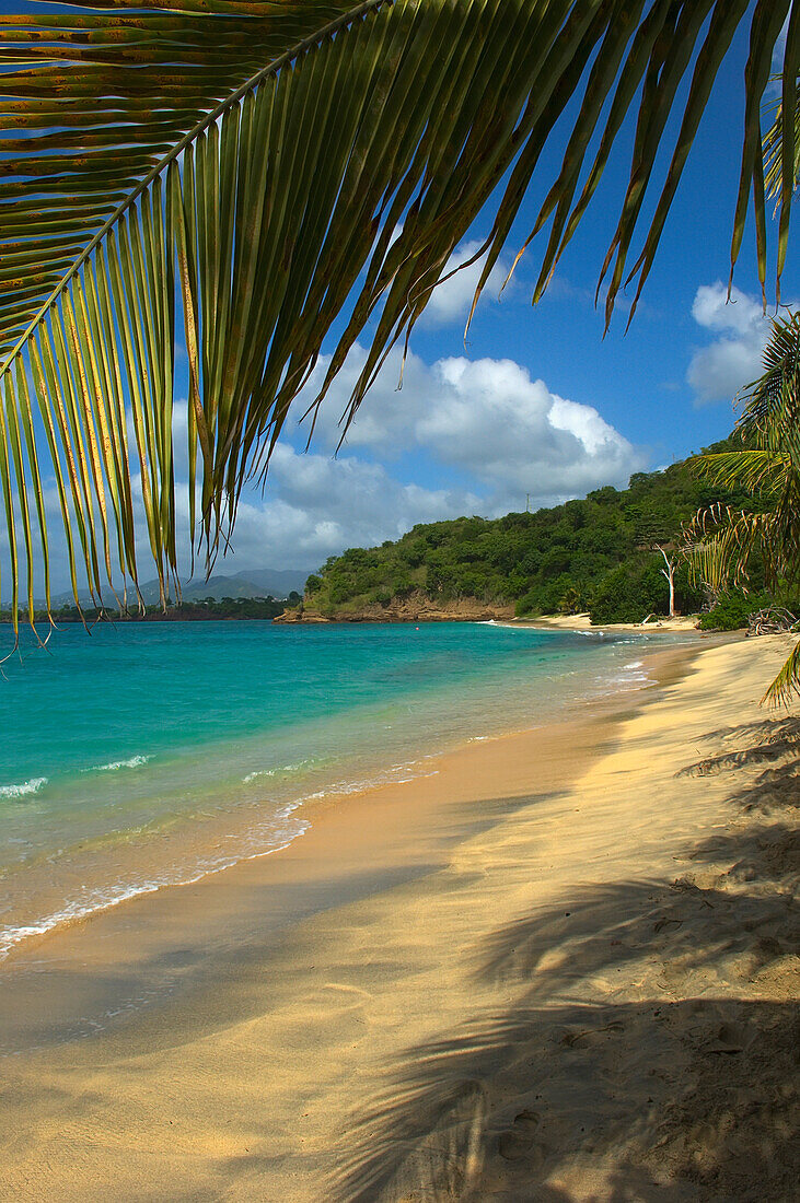 Blick unter Palmen von Dr Groom's Beach; Carriacou Insel, Grenada