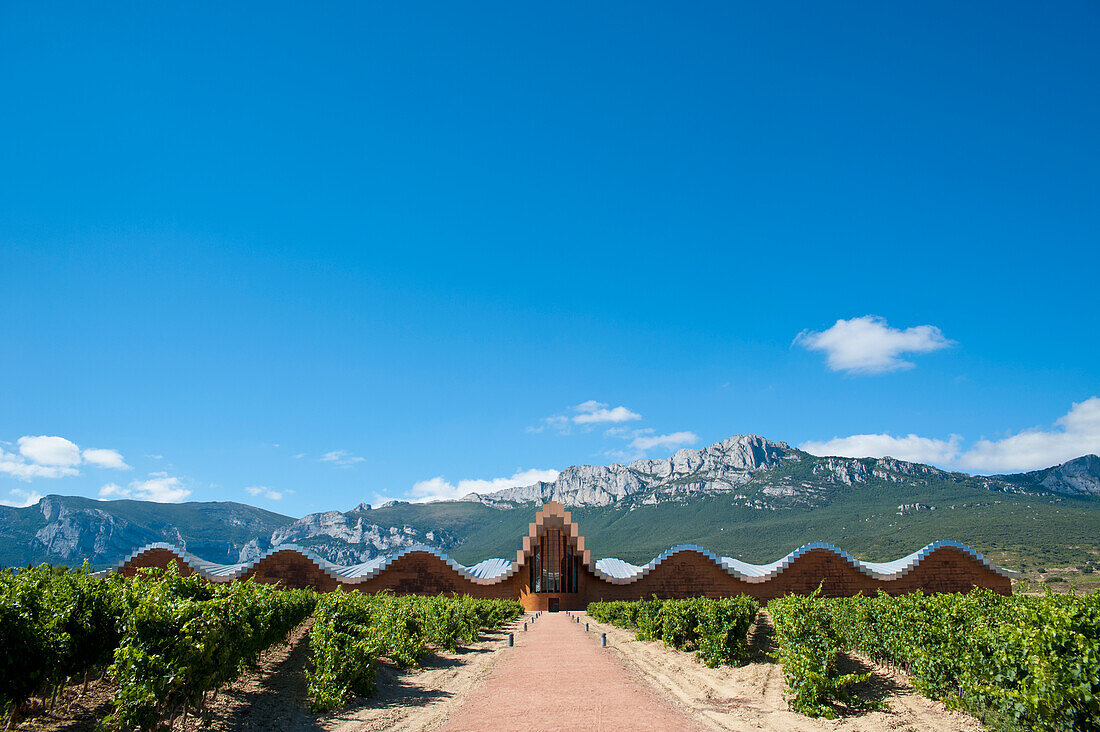 Weingut Ysios, entworfen vom berühmten spanischen Architekten Santiago Calatrava, Laguardia, Baskenland, Spanien