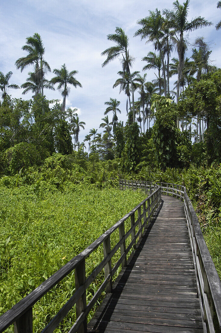 Negril Royal Palm Reserve, Negril, Jamaica.