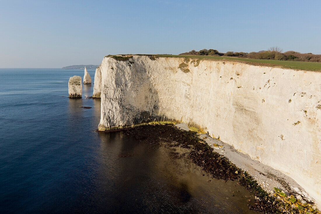 Vereinigtes Königreich, England, Dorset, Cliffs; Studland