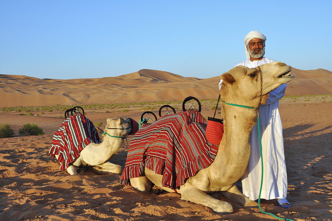 Vereinigte Arabische Emirate, Abu Dahbi, Kamel und Führer in den Wüstendünen von Liwa