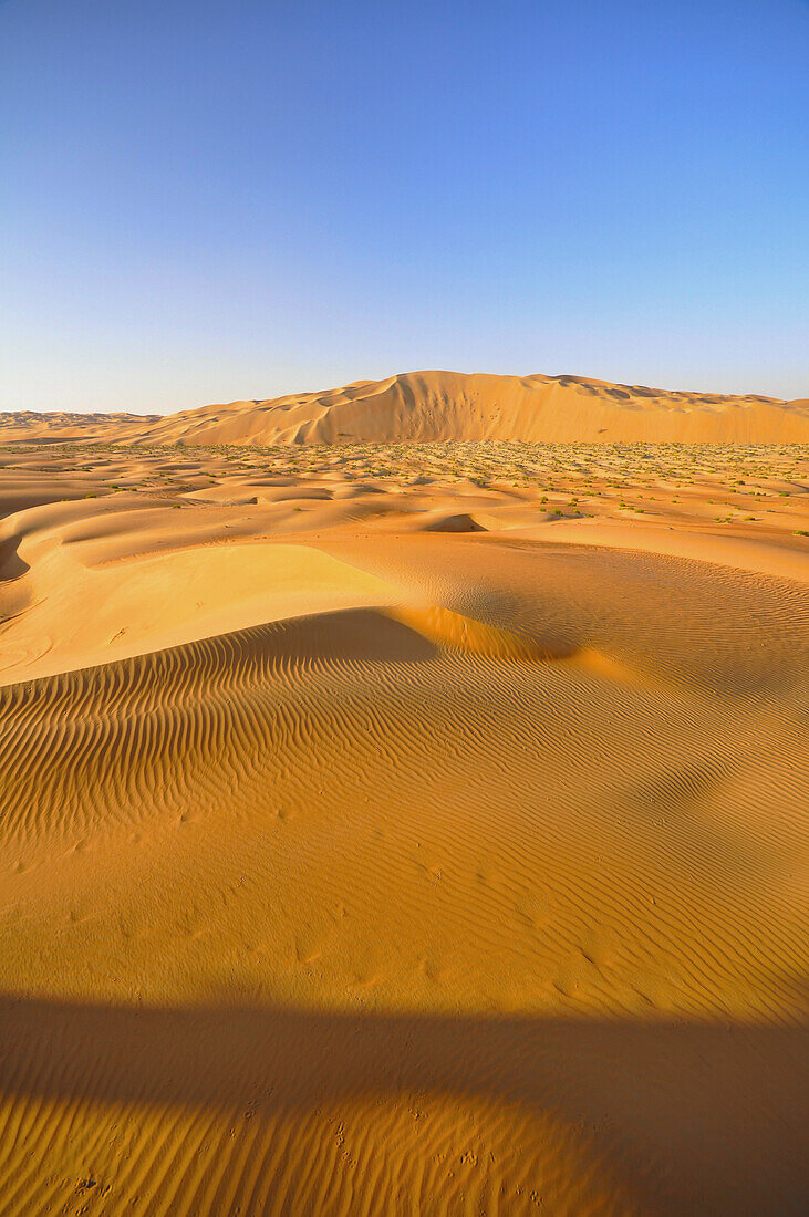 Vereinigte Arabische Emirate, Abu Dahbi, Leeres Viertel, Liwa-Wüstendüne