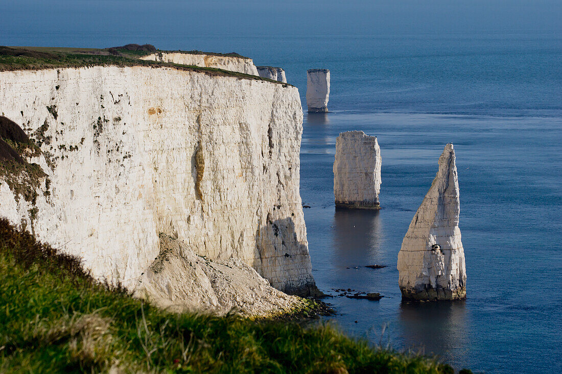 Vereinigtes Königreich, England, Dorset, Cliffs; Studland