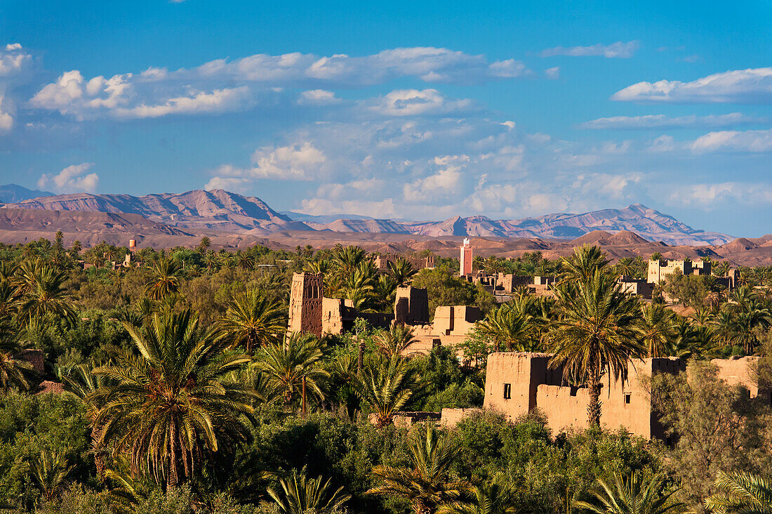 Marokko, vom Dach des Dar Ahlam Hotels aus gesehen; Skoura, Oase Skoura mit alten Kasbahs, die sich über Dattelpalmen erheben