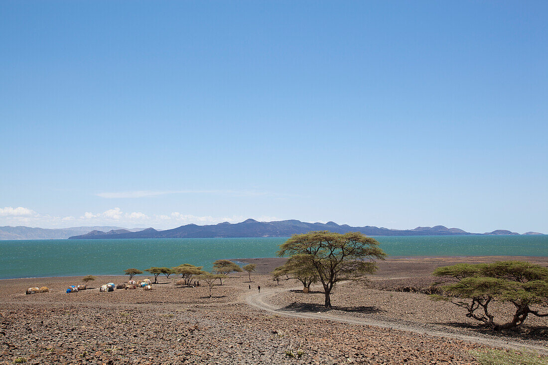 Karge Landschaft um Loyangalani am Turkanasee; Kenia