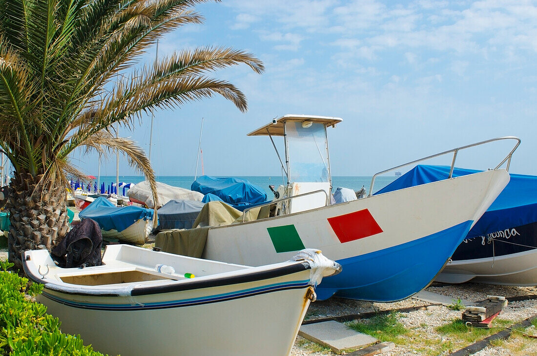 Italien, Marken, Weiße und blaue Boote am Kieselstrand mit Palme und Meerblick; Porto Sant' Elpidio