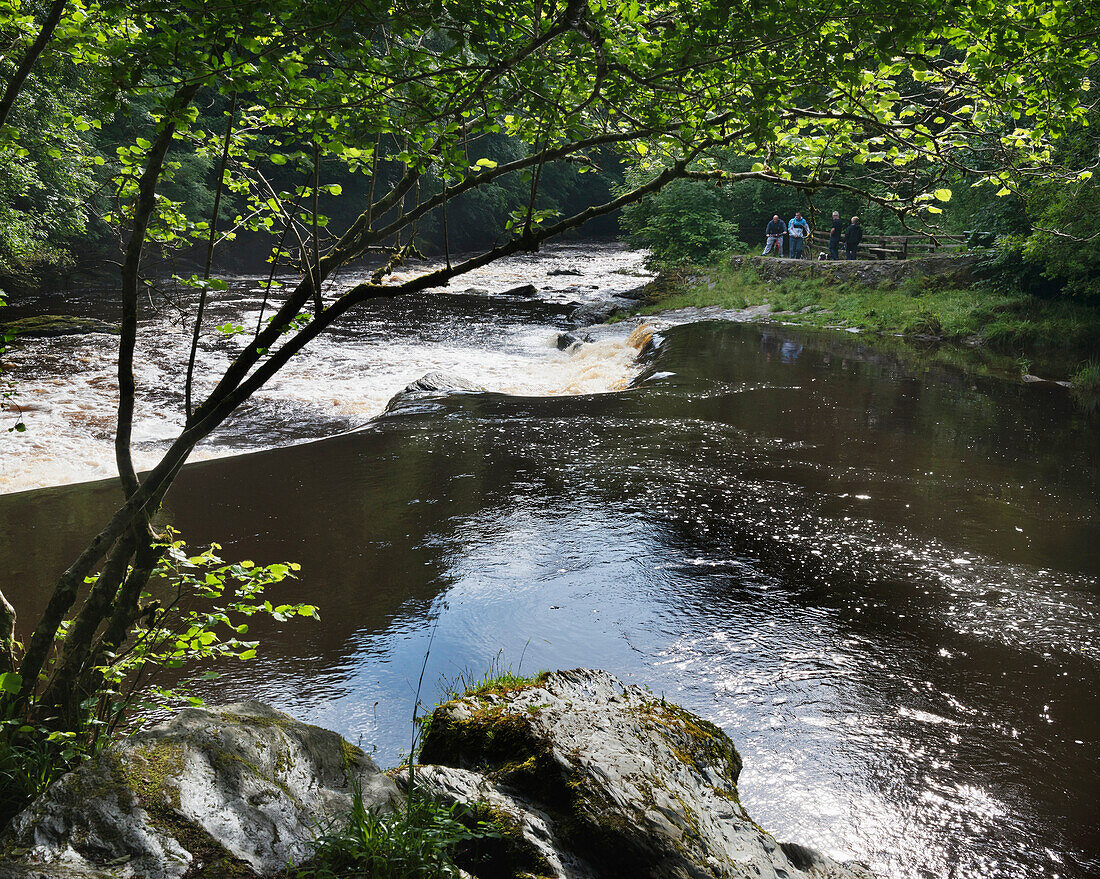 Vereinigtes Königreich, Fluss Roe oder Red River fließt durch den Roe Valley Country Park; Nordirland