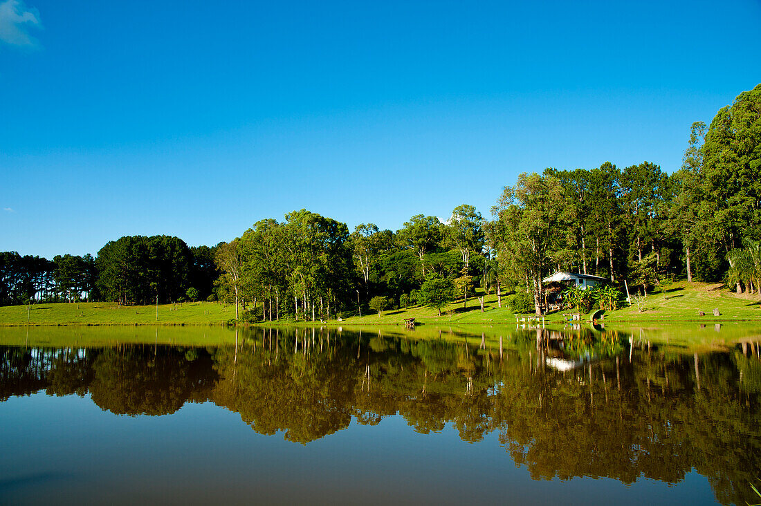 Reflecion Of Trees In A Pond In Santa Barbara Do Sul, Rio Grande Do Sul, Brazil