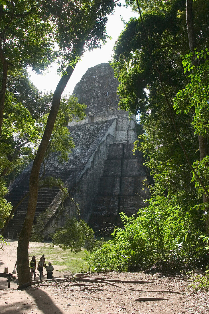 Temple 5 Mayan Ruins Of Tikal Guatemala