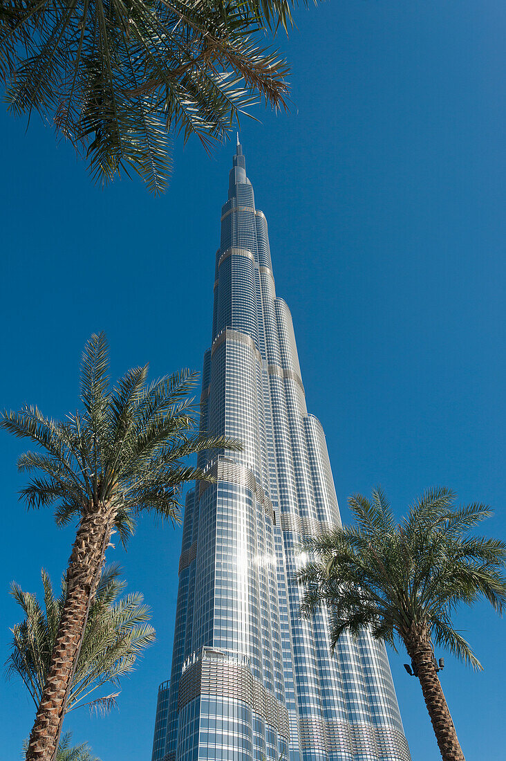 Dubai, Uaedate Palms And The Burj Khalifa