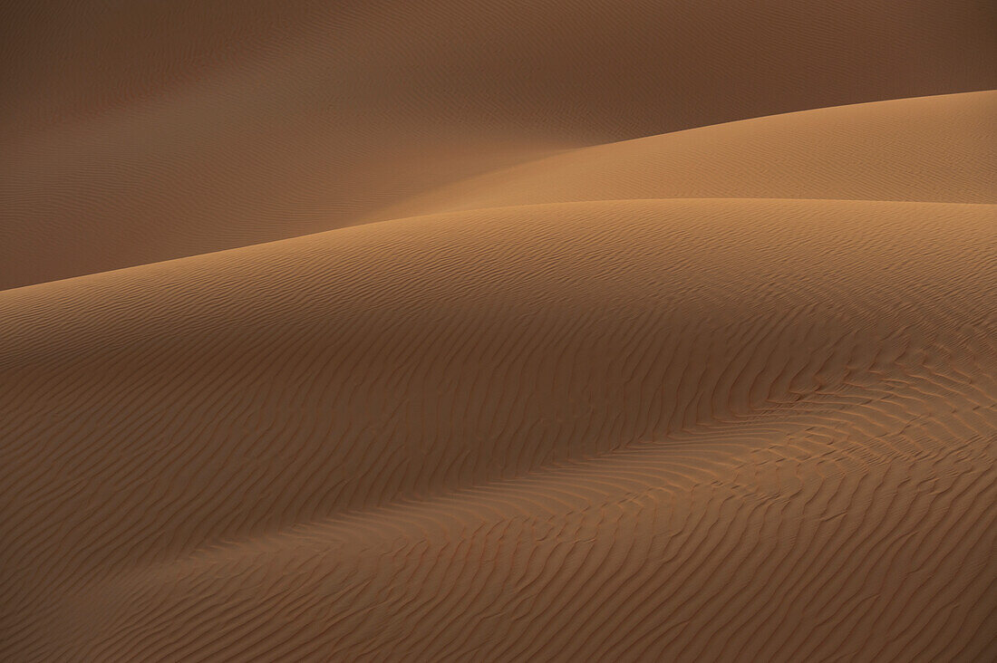 UAE, Abu Dhabi, Sand dunes; Liwa