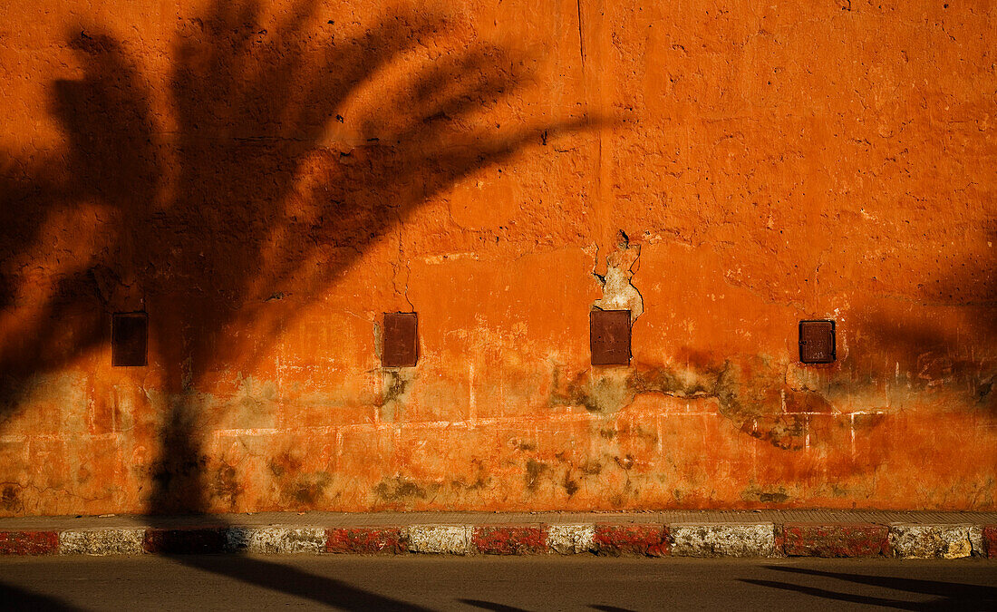 Ein Schatten einer Palme an einer Wand in der Mellah; Marrakesch, Marokko